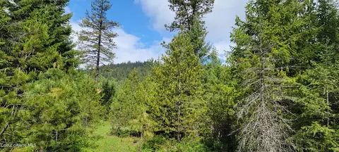 Nna N Bodie Canyon Rd Tract 1, Priest River, ID 83856