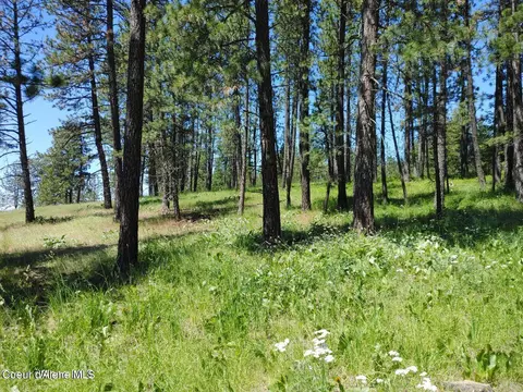 146399 E Falcon Crest Rd, Harrison, ID 83833 photo 61