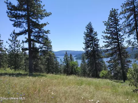 146399 E Falcon Crest Rd, Harrison, ID 83833 photo 7