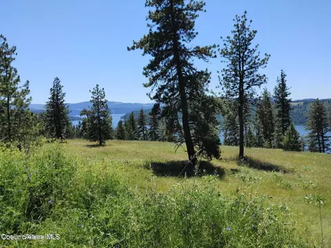 146399 E Falcon Crest Rd, Harrison, ID 83833 photo 6