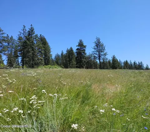 146399 E Falcon Crest Rd, Harrison, ID 83833 photo 49