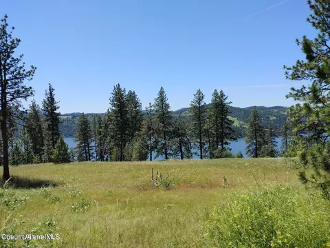 146399 E Falcon Crest Rd, Harrison, ID 83833 photo 10