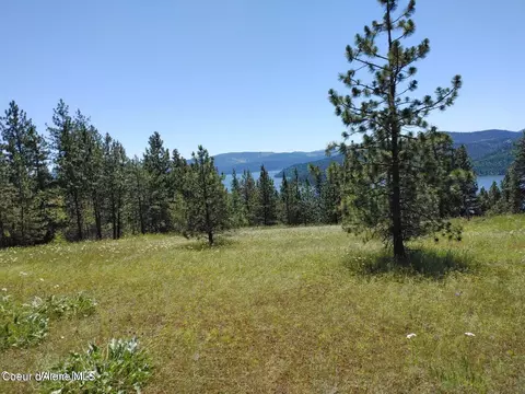 146399 E Falcon Crest Rd, Harrison, ID 83833 photo 58