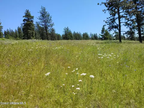 146399 E Falcon Crest Rd, Harrison, ID 83833 photo 14