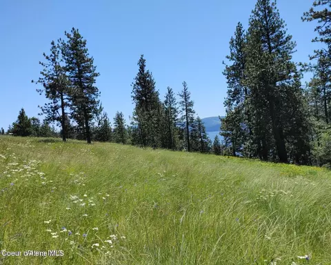 146399 E Falcon Crest Rd, Harrison, ID 83833 photo 50