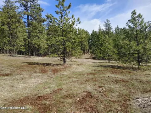 146399 E Falcon Crest Rd, Harrison, ID 83833 photo 51