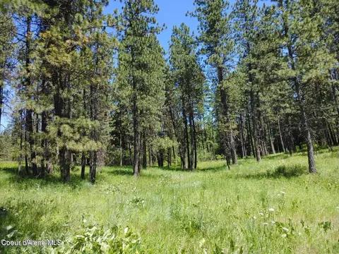 146399 E Falcon Crest Rd, Harrison, ID 83833 photo 13