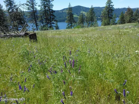 146399 E Falcon Crest Rd, Harrison, ID 83833 photo 47