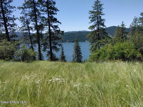 146399 E Falcon Crest Rd, Harrison, ID 83833 photo 43