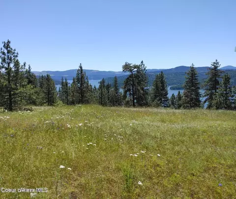 146399 E Falcon Crest Rd, Harrison, ID 83833 photo 12