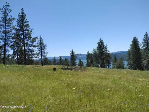 146399 E Falcon Crest Rd, Harrison, ID 83833 photo 8