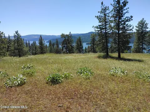 146399 E Falcon Crest Rd, Harrison, ID 83833 photo 60