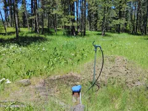146399 E Falcon Crest Rd, Harrison, ID 83833 photo 4