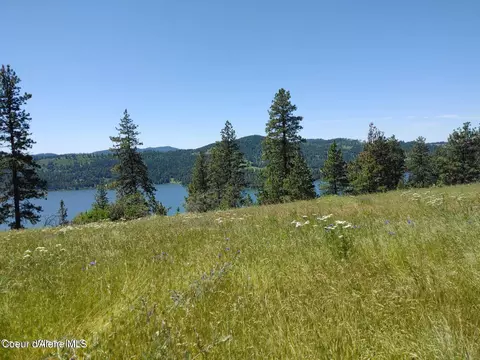 146399 E Falcon Crest Rd, Harrison, ID 83833 photo 46