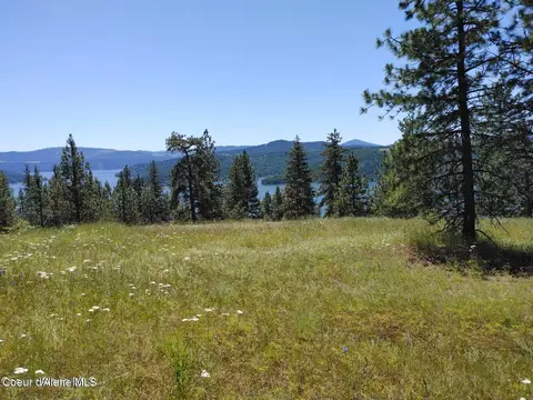 146399 E Falcon Crest Rd, Harrison, ID 83833 photo 59