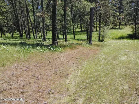 146399 E Falcon Crest Rd, Harrison, ID 83833 photo 56