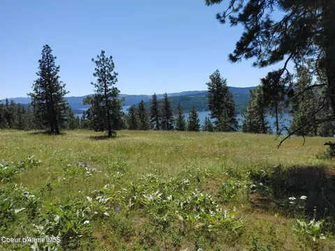 146399 E Falcon Crest Rd, Harrison, ID 83833 photo 3