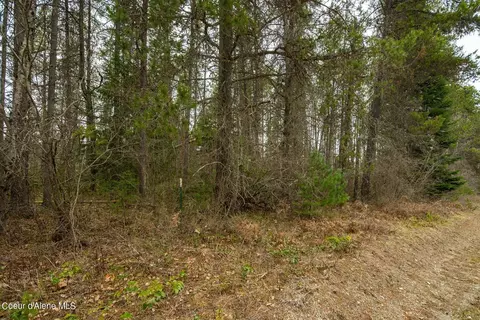12 E 12a E Joyner Dr, Cusick, WA 99119 photo 39