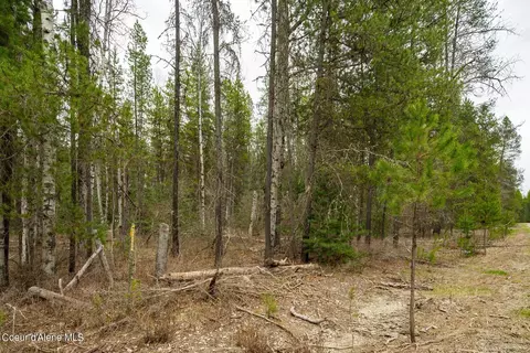 12 E 12a E Joyner Dr, Cusick, WA 99119 photo 50