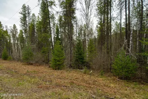 12 E 12a E Joyner Dr, Cusick, WA 99119 photo 38