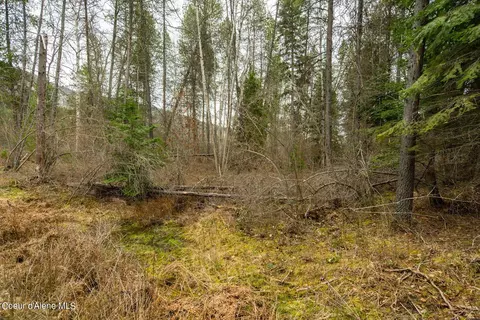 12 E 12a E Joyner Dr, Cusick, WA 99119 photo 41