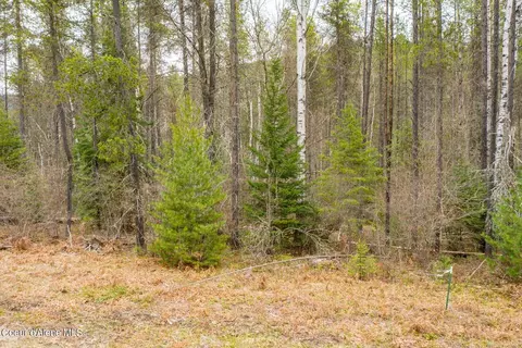 12 E 12a E Joyner Dr, Cusick, WA 99119 photo 33