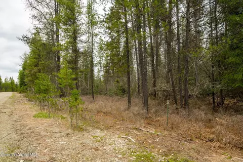12 E 12a E Joyner Dr, Cusick, WA 99119 photo 48