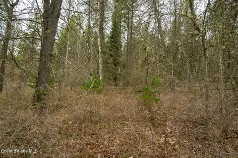 12 E 12a E Joyner Dr, Cusick, WA 99119 photo 43