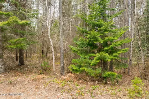 12 E 12a E Joyner Dr, Cusick, WA 99119 photo 34