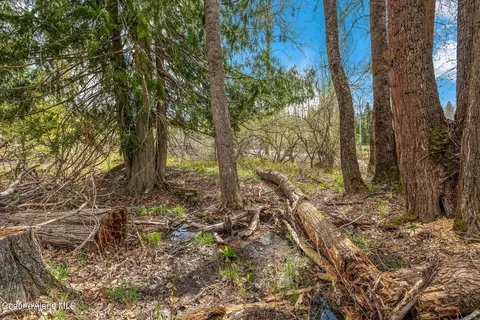Lot 3 Little Italy, Priest River, ID 83856