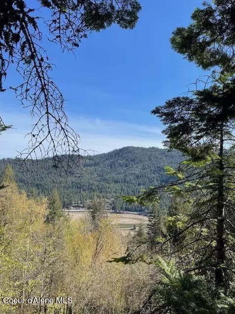 39 Forest Highland, Sandpoint, ID 83864 photo 2