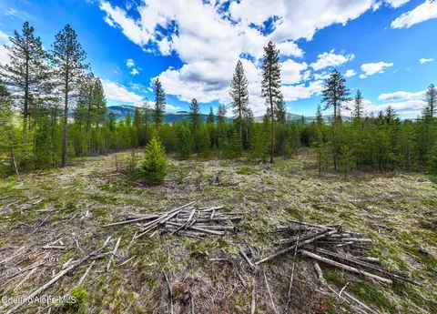 Nna Cricket Loop Blk 1 Lot 4, Oldtown, ID 83822