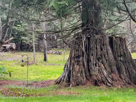 91 Whitetail Lp Lp, Kingston, ID 83839 photo 13