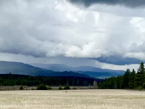 2 Kelso Lake Road, Athol, ID 83801