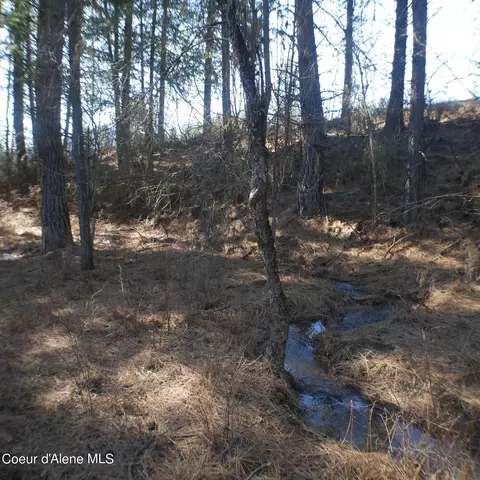 Other - 1444 Agte Rd, Plummer, ID 83851 photo 3 of 14