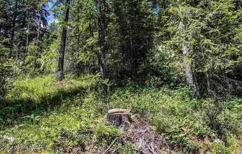 Nna Lower Pack River Rd, Sandpoint, ID 83864 photo 15
