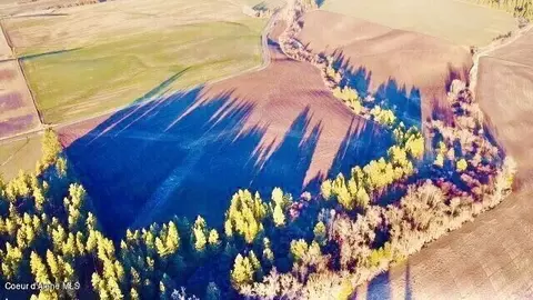 Nka Benewah Creek Rd., Plummer, ID 83851