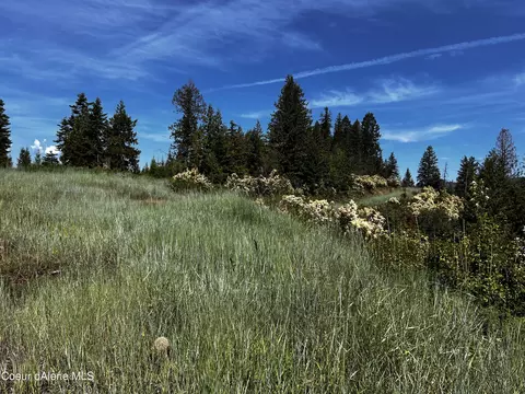Nka S Asbury Rd, Harrison, ID 83833
