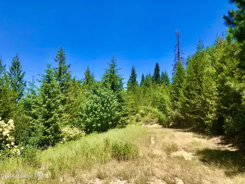 20 Acres Crystal Peak Rd, Fernwood, ID 83830