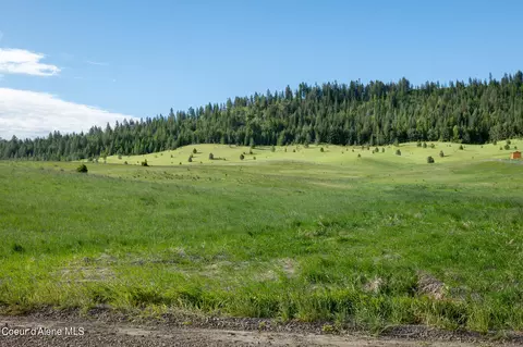 lot A Merideth Rd, Plummer, ID 83851