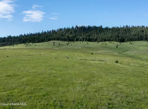 lot B Merideth Rd, Plummer, ID 83851 photo 9