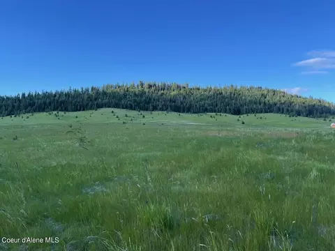 lot B Merideth Rd, Plummer, ID 83851
