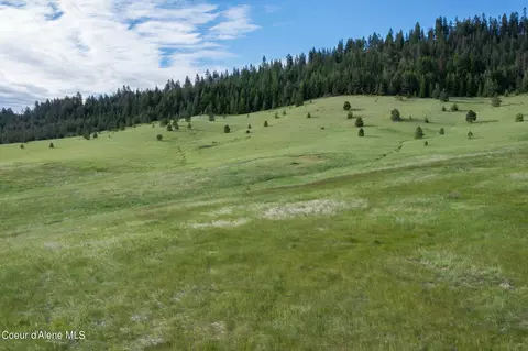 lot B Merideth Rd, Plummer, ID 83851 photo 14