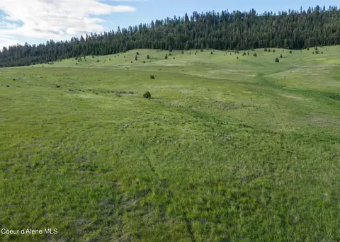 lot B Merideth Rd, Plummer, ID 83851 photo 8