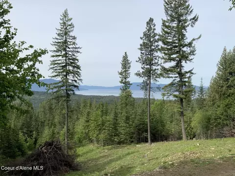 Nka Cougar Peak Road, Hope, ID 83836