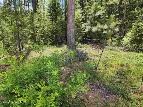 Nkn N Shadows Dr, Cusick, WA 99119 photo 6