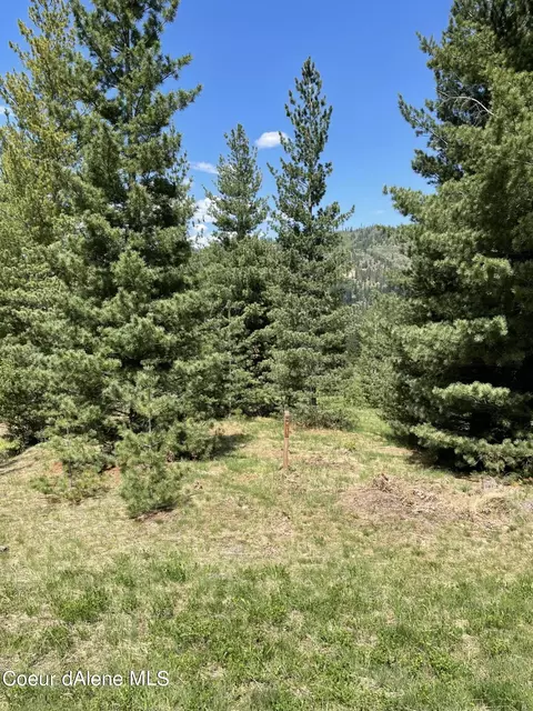 280 Diamond Hitch Dr, Kellogg, ID 83837 photo 6