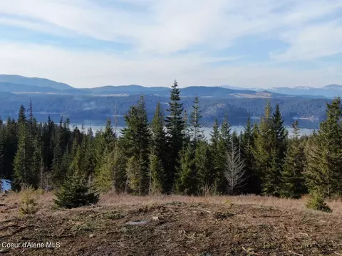 L5 B9 Kapalua Road, Harrison, ID 83833