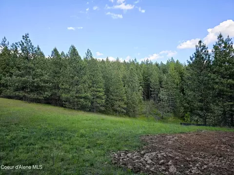 Nka S Diamond Rd Lot 1, Harrison, ID 83833