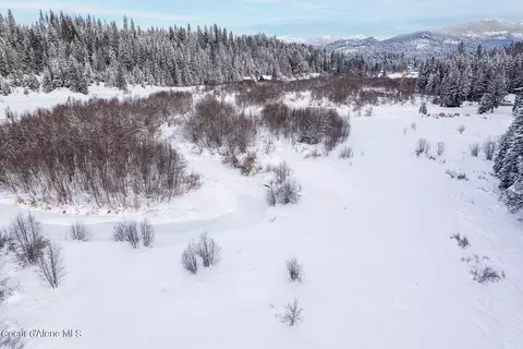 217 E River Loop Rd, Priest River, ID 83856 photo 17